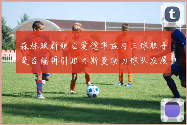 森林狼新组合爱德华兹与三球联手是否能再引进怀斯曼助力球队发展