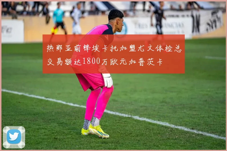 热那亚前锋埃卡托加盟尤文体检总交易额达1800万欧元加普茨卡