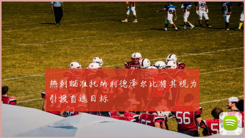 热刺瞄准托纳利德泽尔比将其视为引援首选目标