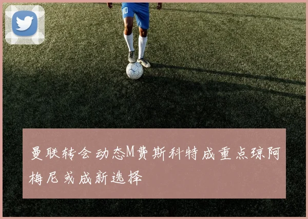 曼联转会动态M费斯科特成重点琼阿梅尼或成新选择